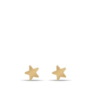 GOLD FILLED / STERLING SILVER STAR STUD EARRING